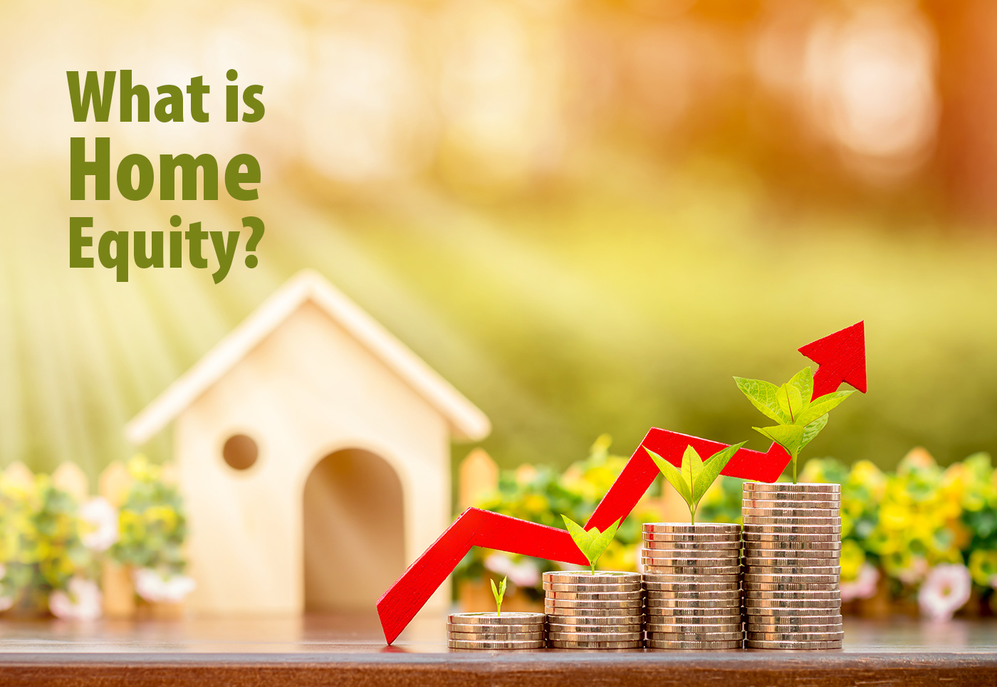 what is home equity
